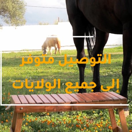 طاولة الخرجات الصيفية & Table pliante