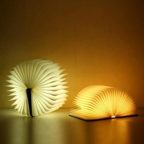 LAMPE LIVRE